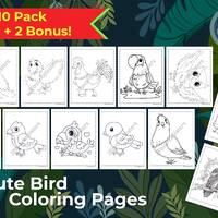 Bird Coloring Sheets kids Bundle Adult Owl digital download Colouring printable Parrot Toucan Owl Ro