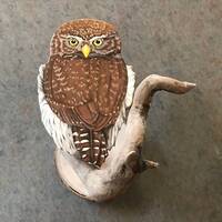 Northern Pigmy Owl