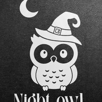 Cottagecore Tshirt / Night Owl With Moon / Witchy Shirt / Womens Mens Tshirt / Vneck / Crewneck / No