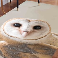 Owl Photo Rug: Non-Slip Accent Rug, Office Decor