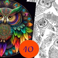 Owl coloring page,Mandala coloring book  Adults + kids- Instant Download - Grayscale Coloring Page -