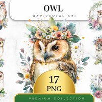 Set of 17, Watercolor Owl , Owl clipart, Owl PNG, Owl Art, Owl digital, Card Making, Clip Art, Digit