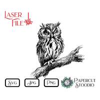 Laser Engrave File Owl SVG, LightBurn GlowForge to make Signs Cutting Boards Coasters for Cabin Lodg