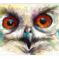 OWL Eyes Painting, ORIGINAL Owl WATERCOLOR, Wild Life Painting, Wall Art Watercolor Bird Decor, Bird