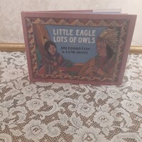 Little Eagle Lots of Owls by Jim Edmiston, Illustrated by Jane Ross, Vintage 1993 Hardcover Children