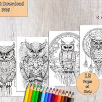 13 Majestic Owls - Printable Adult Coloring Pages - Owl Coloring, Mandala Style, Digital File, Insta