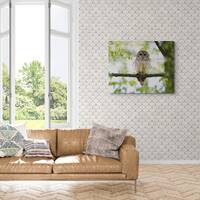 Owl Photograph Photography Fine Art Photo Gift Artwork Wall Decor Print Giclee Metal Lustre Acrylic 