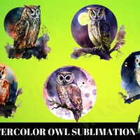 5 Watercolor Moon Owl Sublimation,Owl Lover png,Animal png,Watercolor Birds png,Owl Clipart,Wild Png