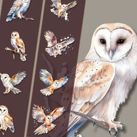 Barn Owl Clipart Collection  High Resolution PNG Graphics Transparent Background Invitations & D