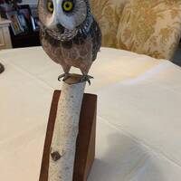 Saw-whet Owl