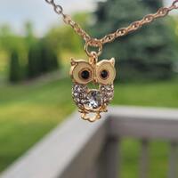 Owl Necklace. Gifts For Her, Anniversary, Birthday, Gifts For Girls, Mom Gift. Bird Necklace. Christ