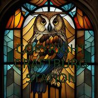 Magical Owl - colouring pattern - Stained glass effect
