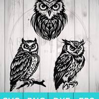 Owl SVG for Cricut Silhouette etc. SVG PNG Dxf Eps files included