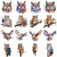 Watercolor Owl Clipart - 16 High Quality PNGs - Digital Download - Commercial Use - Card Making, Mix