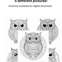 Wise Owls: Printable Adult Coloring Book Page