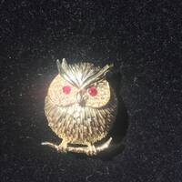 Vintage Gold Tone Owl Brooch With Red and Clear Crystals