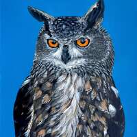 Owl acrylic painting on paper - Eagle   Owl British Wildlife art