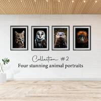 Wild Animal Collection 2 | Lynx, Monkey, Otter & Owl | Wildlife Animal Photography |  Tropical,