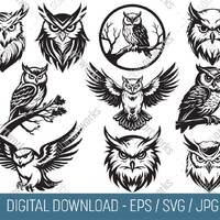 Owl Clipart SVG Bundle, Black and White Owl Graphics (Digital Download)