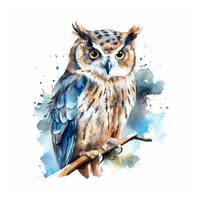 Watercolor Owl Clipart, JPG Digital Download, Card Making Clipart, Digital Paper Craft, Mixed Media,