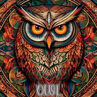 Owl Coloring Pages for Adults & Children: 120 Delightful Owl Designs for All Ages, Instant Downl