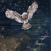 Decoupage Queen KARIN'S NIGHT OWL A4 Rice Paper dqrp0094 (Retired)