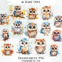 Watercolor Baby Owl Clipart Bundle, Commercial Use (Digital Designs)