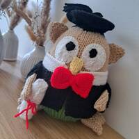 Hand Knitted Graduation Owl: Embroidered Stuffed Toy Gift