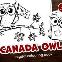Canada Day Owl Digital Colouring Page | Printable Owl Artwork | DIY Canada Day Decor | Patriotic Act