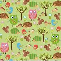 Owls by Owl & Co. for Riley Blake Cotton Flannel by the yard Forest Animals Fabric