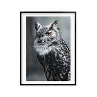 Black and White Owl Birder Gift, Owl Wall Art Photography Print, Nursery Wildlife, Owl Christmas Gif
