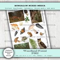 Woodland Forest F002 Nature Owl Mushrooms Butterfly Pinecone Bird Nest Vintage Collage Junk Journals