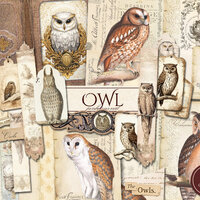 Owl Junk Journal Kit (Printable JPG Pages with Ephemera, Tags, Bookmarks, Cover), Neutral Woodland,