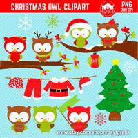 Christmas Owls Clipart, Instant Download PNG files - 300 Dpi, Baby Shower Clipart, Owl Clip Art, Nur