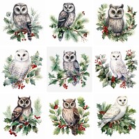 Watercolor Cute Winter Owls Clipart PNG, Christmas and winter clip art, bird graphics, scrapbooking,