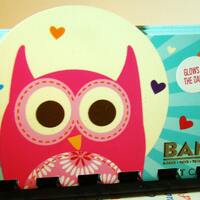 Owl (glows in the dark) -- Gift card Notebook