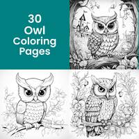 Owl Coloring Book, 30 Coloring Pages