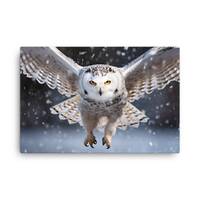 Snowy Owl Majestic Print on Canvas | superb owl, white owl, owls, photography, snowy, nite owl, owl,