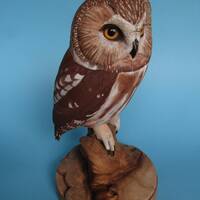 Saw Whet Owl Wood Carving