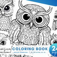 Owl Coloring Book vol. 1, 24 Owl Coloring Pages, Adult Coloring Book Whimsical Color and Chill Creep