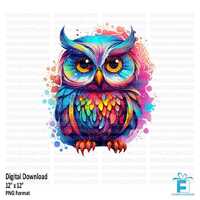 Owl clipart, Owl PNG, Colorful Owl Clipart, Fun Owl PNG, Printable Owl Art, Sublimation, DTG, Printa