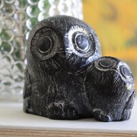 Sweet Baby and Momma Owl