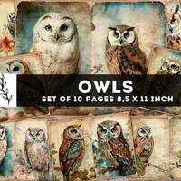 Owl Junk Journal Kit, Vintage Owls Paper, Digital Journaling Pages, Birds Shabby Pages, Watercolor O