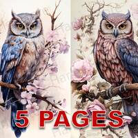 Gorgeous Owls and Flowers Printable Ephemera Watercolor Clipart 20 JPG Elements Commercial License J