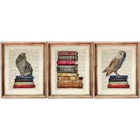 Christmas Gifts, Set of 3 Cat and Owl Sitting on Books Prints, Vintage Animal Art on Antique Diction