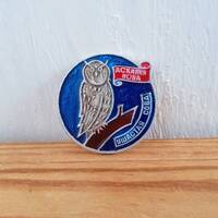 Owl pin, Rare pin, Pin birds, Backpack Decoration.