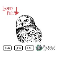 Laser Engrave File Snowy Owl SVG, LightBurn GlowForge for Signs Cutting Boards Coasters for Cabin Lo