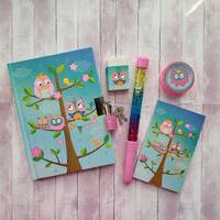 Owls Journal Diary notebook and accessories. Good for school and/or everyday use. Great Back to Scho