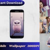 Baby Owl Wallpaper, Bird Wallpaper, Cute Owl Mobile Wallpaper, Cell Phone Wallpaper, Aesthetic Wallp