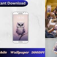 Cute Owl Wallpaper, Bird Wallpaper, Owl Mobile Wallpaper, Trending Wallpaper, Cell Phone Wallpaper, 
